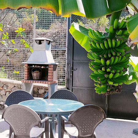 La Guancha Casa Lipaヴィラ エクステリア 写真