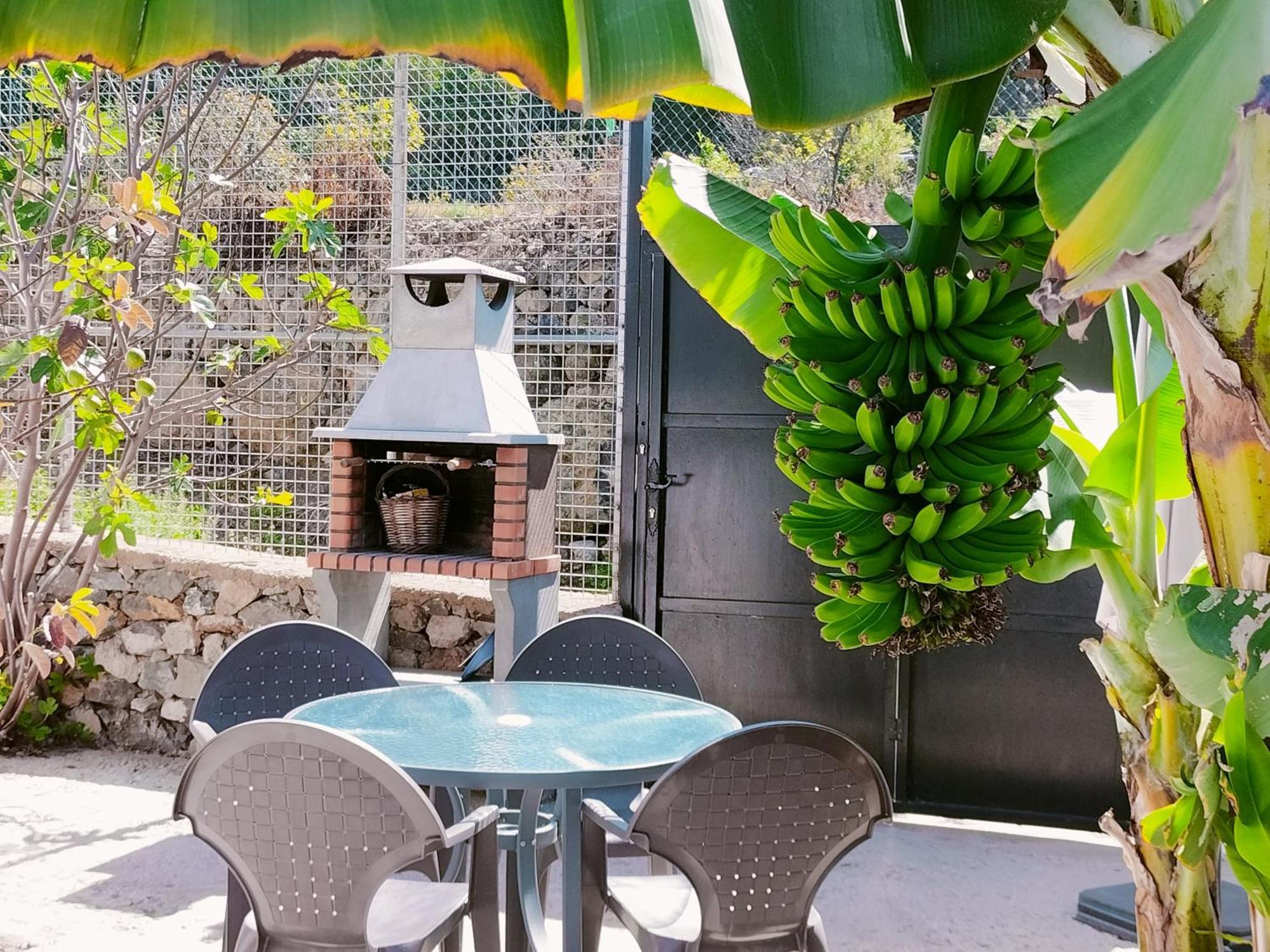 La Guancha Casa Lipaヴィラ エクステリア 写真